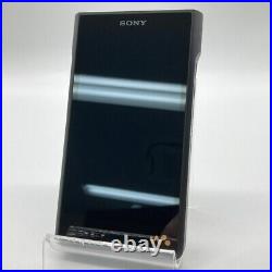 Sony NW-WM1AM2 High Performance Digital Audio Player English language