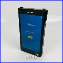 Sony NW-WM1AM2 High Performance Digital Audio Player English language Japan